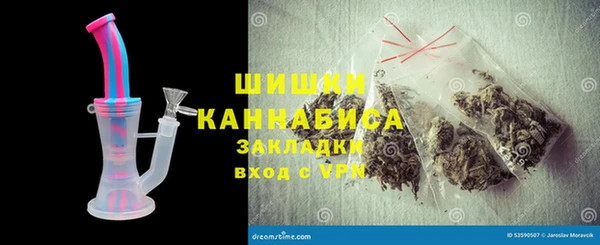 дживик Белокуриха