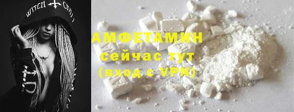 дживик Белокуриха