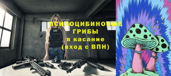 дживик Белокуриха