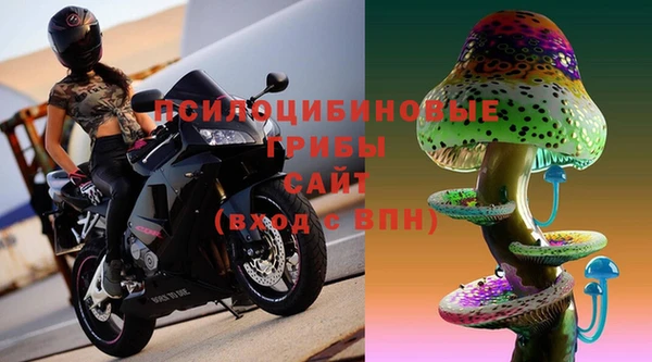 мдпв Рославль