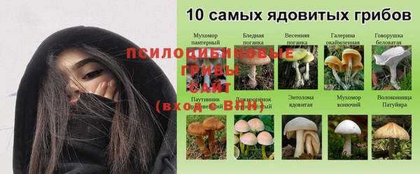 дживик Белоозёрский