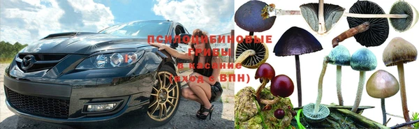 дживик Белокуриха