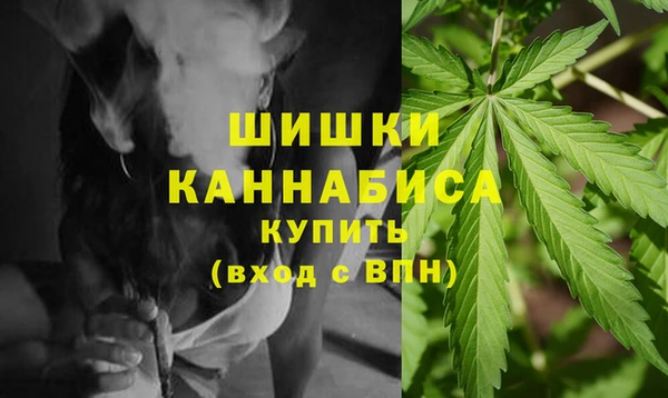 дживик Белокуриха