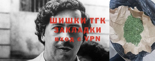 дживик Белокуриха