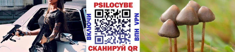Псилоцибиновые грибы GOLDEN TEACHER  Малая Вишера 